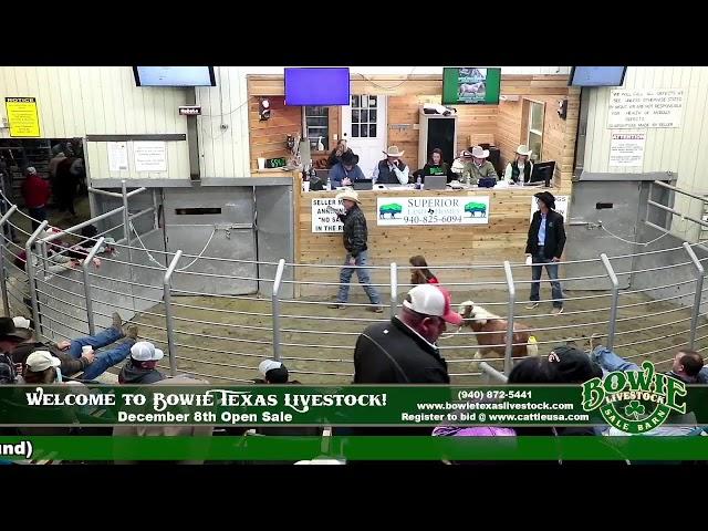 Bowie Texas Livestock December 8th Open Sale!