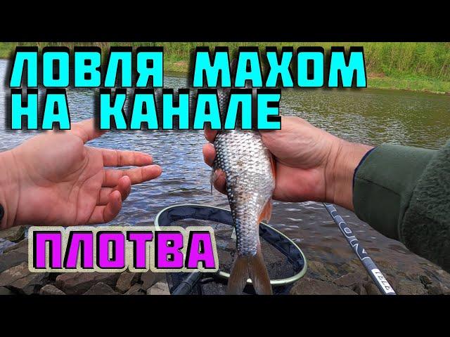 ловля махом. КАК ПЛОХО, КОГДА НЕТ. cralusso surf. ловля маховым удилищем