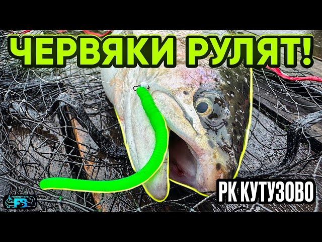 Капризная форель на мягкие приманки! Поймали конопатых на крупных червей!