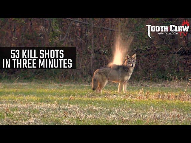 53 Kill Shots In 3 Minutes - Coyote Hunting