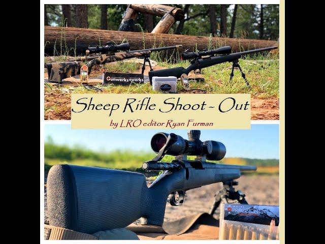 The Sheep Rifle Shoot~Out