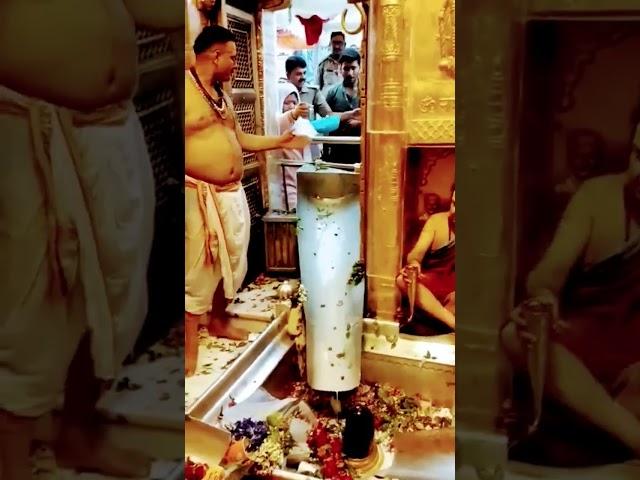 Kashi viswanath corridor dham live darshan vlog kashi putra comp blog sanatani Subscribe comp blog