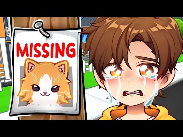 MY CAT WENT MISSING...