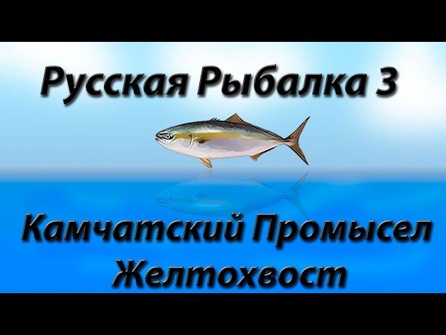 Русская Рыбалка 3.9 Камчатский Промысел Желтохвост