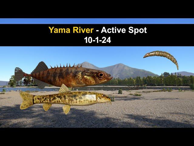 Russian Fishing 4, Yama River - Active Spot 10-1-24