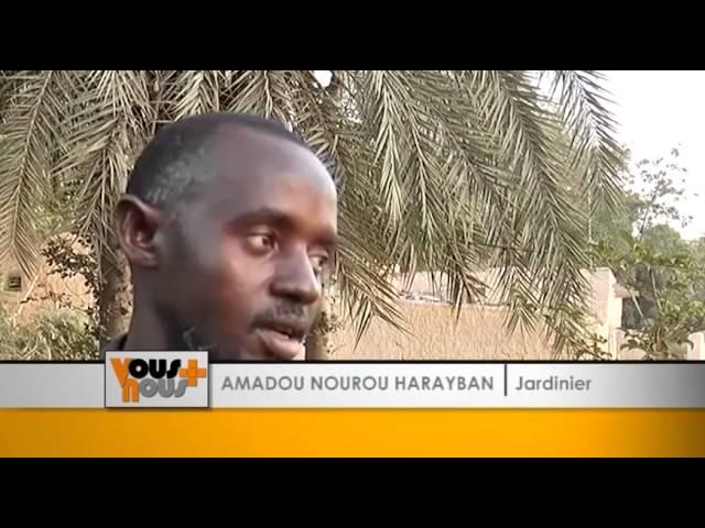 les agriculteurs du Niger s'essayent à la télé-irrigation.