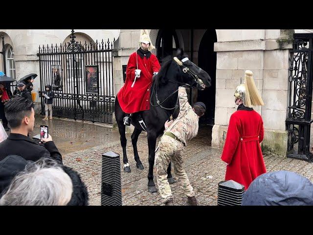 Three Guards Wrestle To Control FREAKED Horse!!