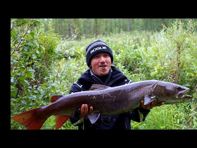 Мгновения рыбалки. Плато Путорана 2018 год.  Fishing on the Putorana plateau