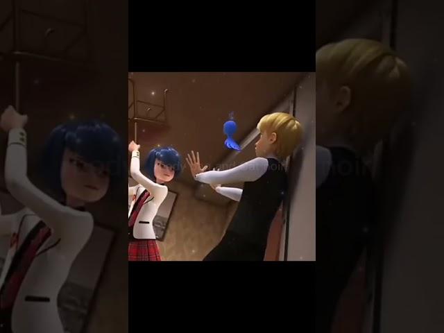 Феликс и Кагами #miraculous#edit#shorts