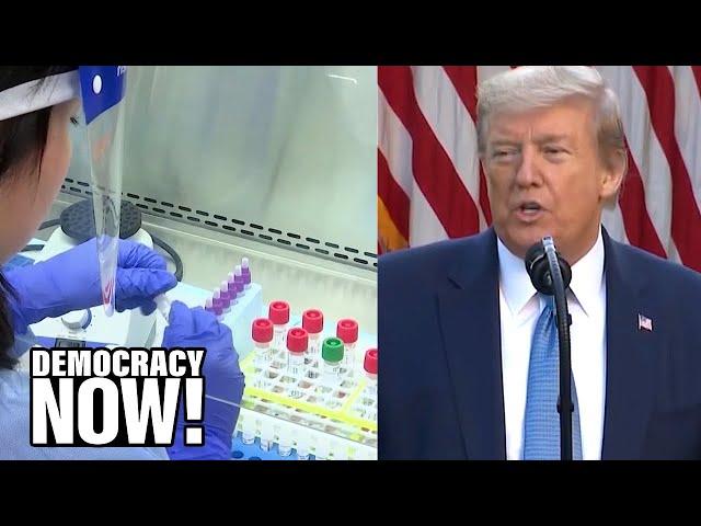 "Pure Baloney": Zoologist Debunks Trump's COVID-19 Origin Theory, Explains Animal-Human Transmission