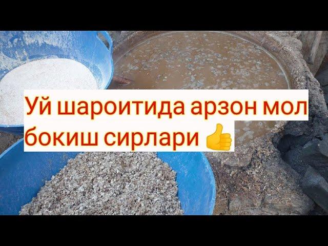 Уй шароитида арзон ва фойдали мол бокиш сирлари