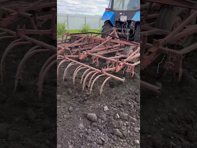 #беларусь #мтз #весна #огород
