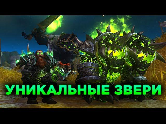 Уникальные Звери для Охотника в WoW TBC Classic!