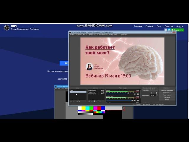 Как запустить прямую трансляцию в вк на пк OBS studio, как сделать прямую трансляцию
