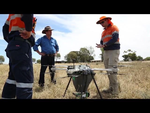 Can drones help restore native vegetation on cotton farms?