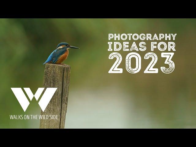 Ideas for your nature and wildlife photography in 2023