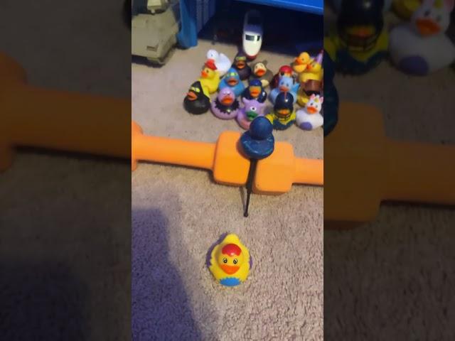 All the ducks on the top row #ducker #duck #funnymemes #memefunny #funny #meme #rubberduck ￼