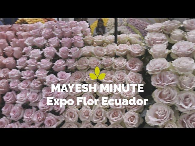 Mayesh Minute: Expo Flor Ecuador 2022