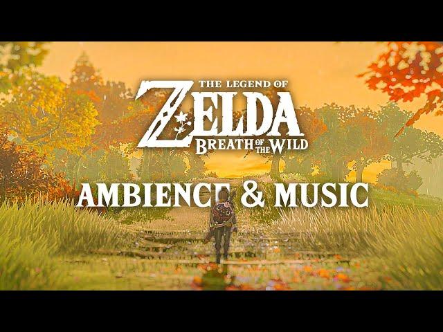  Akkala Rainy Sunset  Zelda Ambience & Optional Music