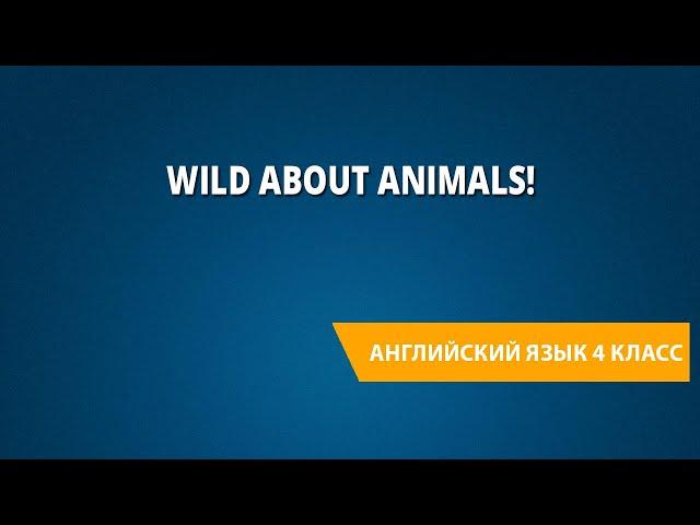 Wild about animals!