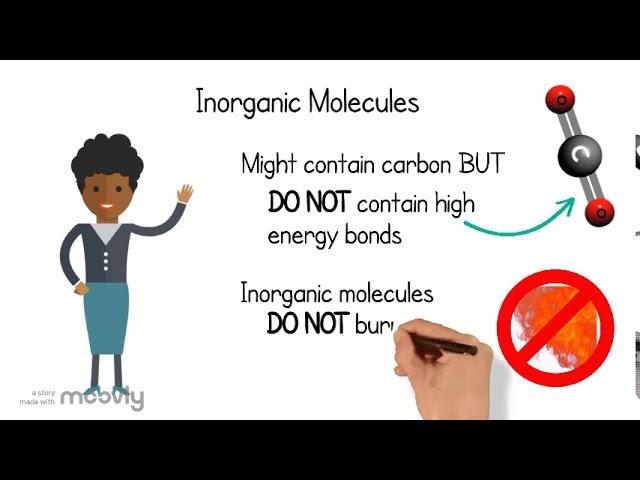 Organic vs  Inorganic