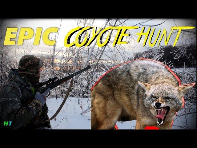 EPIC COYOTE HUNT!!! Hunter Tom, Ft. theheartstoppers