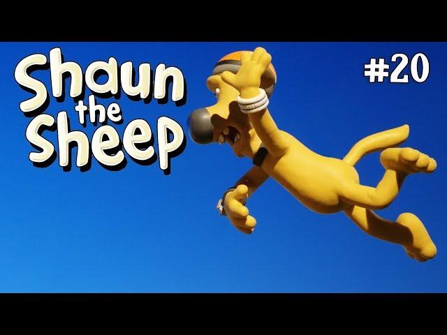 Ground Dog Day | Shaun the Sheep Season 4 | Full Episode