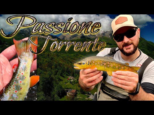 Tante Trote WILD in posti da FAVOLA - Spinning TROTA TORRENTE