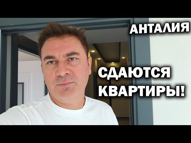 СДАЮТСЯ ДВЕ КВАРТИРЫ! БЕЗ ПОСРЕДНИКОВ в Анталия Турция