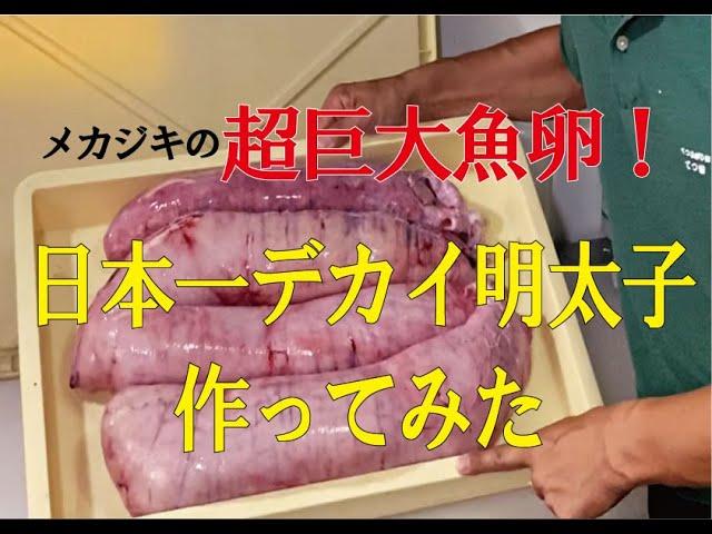 【小笠原】のメカジキの超巨大魚卵で日本一デカイ明太子作ってみた