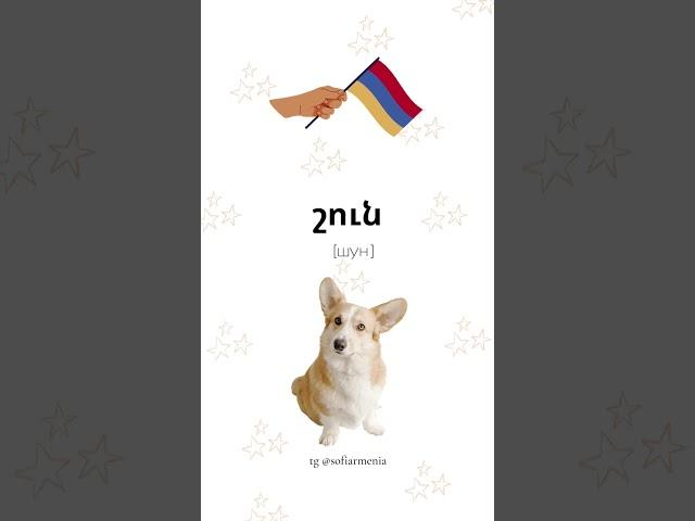  ЖИВОТНЫЕ НА АРМЯНСКОМ ЯЗЫКЕ #армяне #language #армянский #learning #армянскийязык