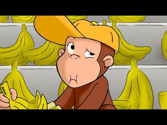 Curious George George The Grocer  Kids Cartoon  Kids Movies | Videos For Kids