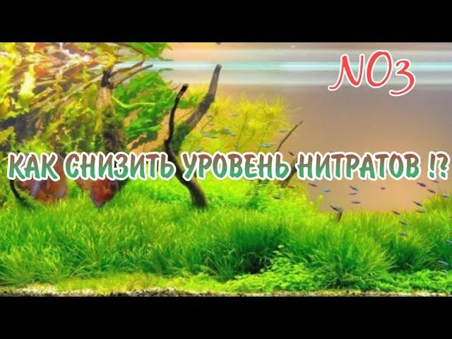 КАК СНИЗИТЬ УРОВЕНЬ НИТРАТОВ В АКВАРИУМЕ !?