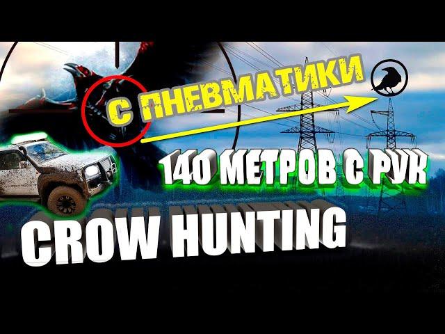 Hunting for a forest crow. Shot 140 + meters from an air rifle. Sniper.