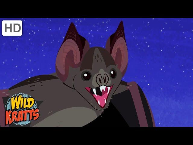 The Vampire Bat | A Misunderstood Creature of the Night | Happy Halloween! | Wild Kratts