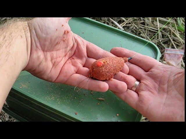 Рыбалка на карпа осенью Рыбалка по холодной воде. #карп #карась #fishing #рыбалка #донка #carp #флэт