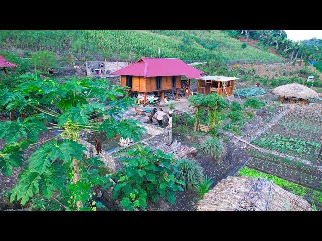 The Kitchen Was Destroyed By FIRE! Sang became an engineer | Build a new kitchen and Garden Farm