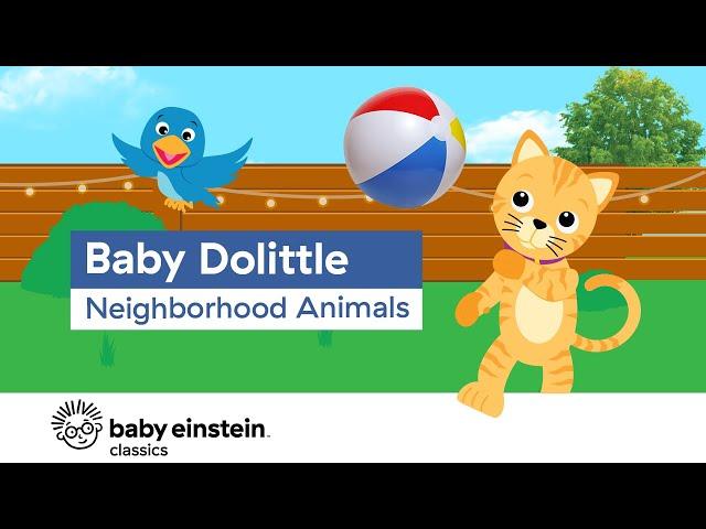 Neighborhood Animals For Kids to Learn | Baby Dolittle: Neighborhood Animals | Baby Einstein