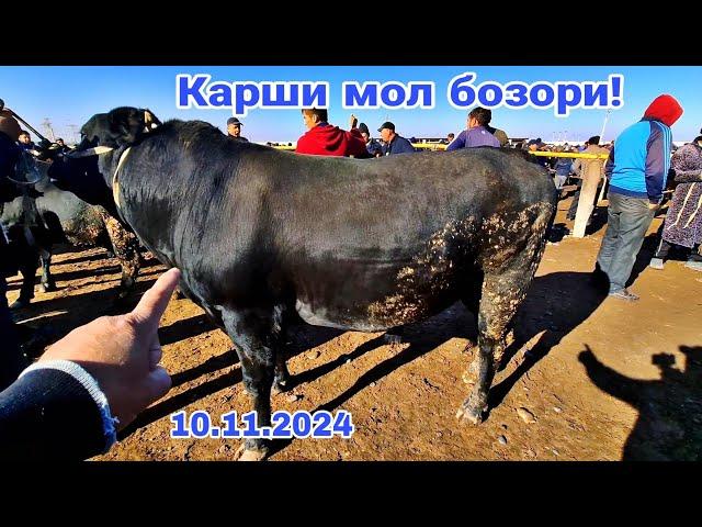 Карши мол бозори нархлари 10.11.2024