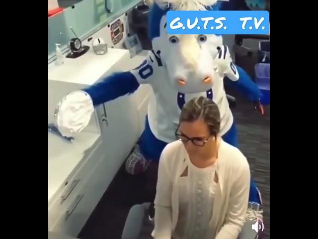 KAREN HIT WITH A PIE BY MASCOT