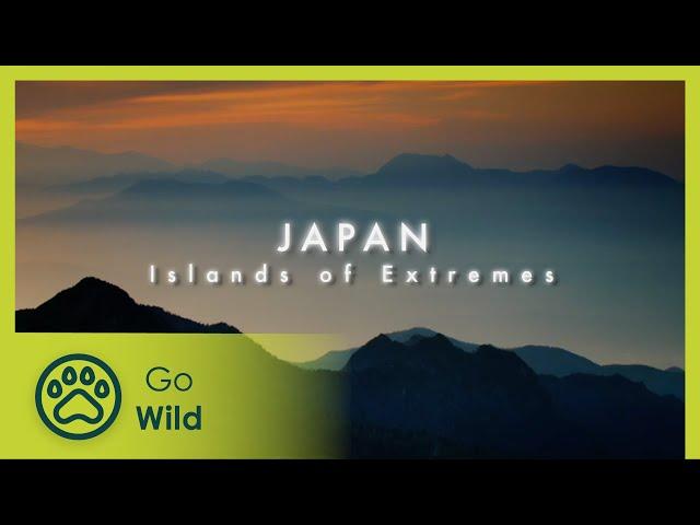 Japan: Islands of Extremes - Wildest Islands - Go Wild