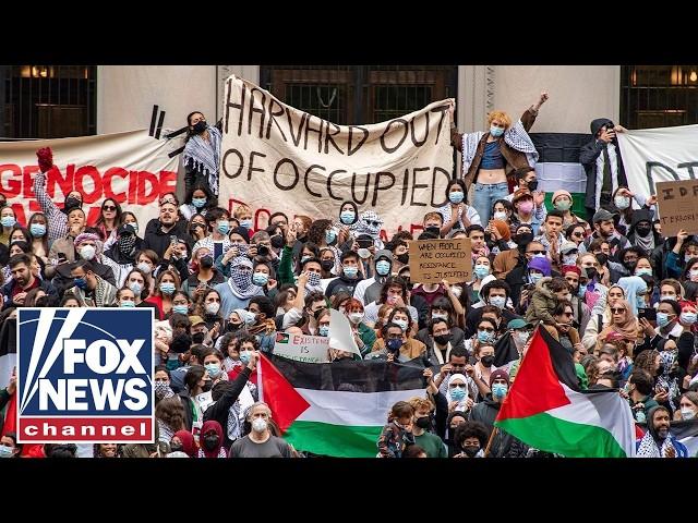 'Teaching and preaching antisemitism': Former Harvard professor issues warning