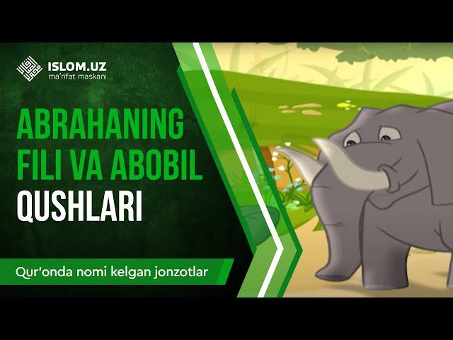 28. Abrahaning fili va abobil qushlari (1-qism) | Qur'onda nomi kelgan jonzotlar