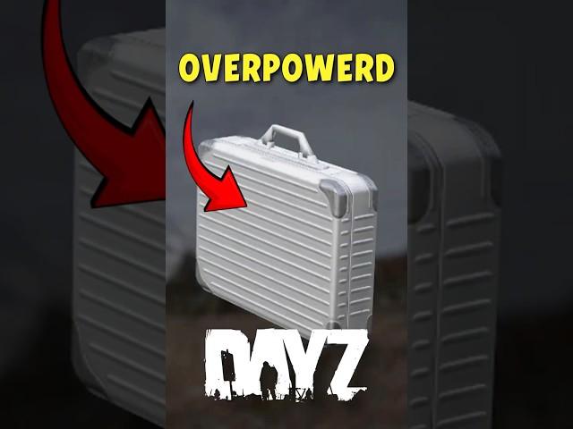 The Briefcases Are CRAZY In DayZ