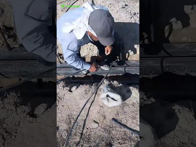 Подключаем капельный полив