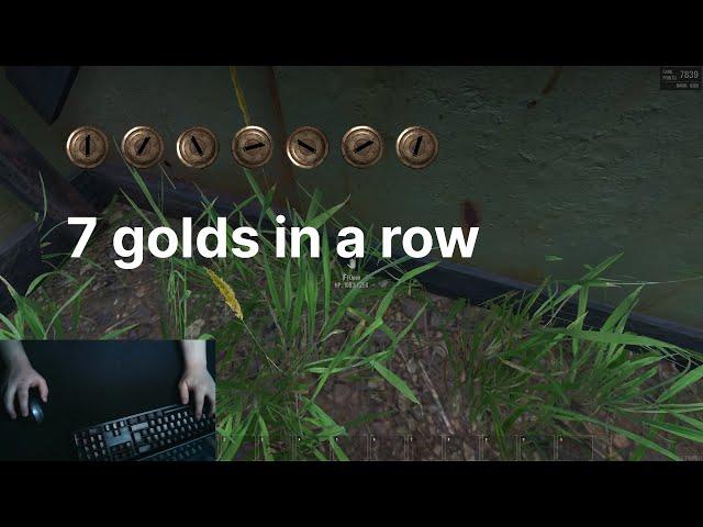 7 golds in a row / Daily training