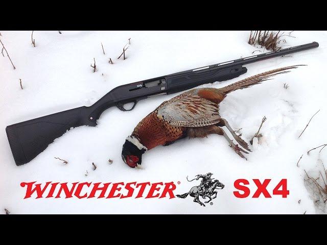 Winchester SX4 Semi-automatic Shotgun Review