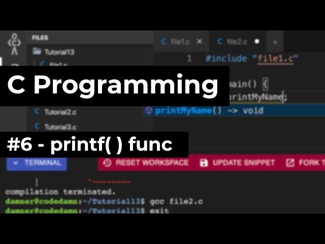 C Programming #6: printf Function