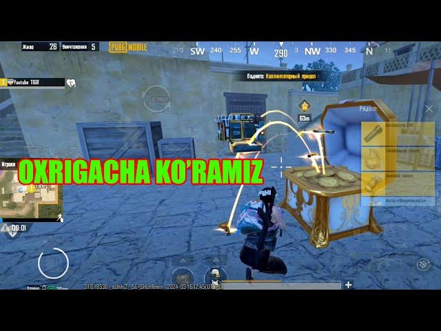 pubg oxotnik tigr arzisa lack   bumasa mayli livik youtube oxotnik tigr