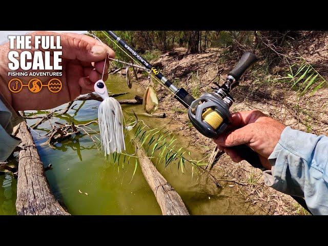 Land-based Murray River Spinnerbait Fishing | The Full Scale